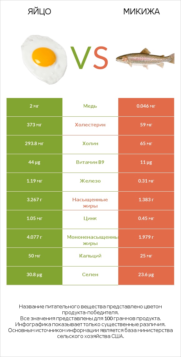 Яйцо vs Микижа infographic