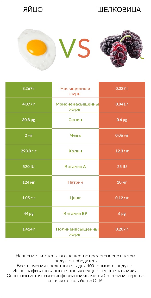Яйцо vs Шелковица infographic
