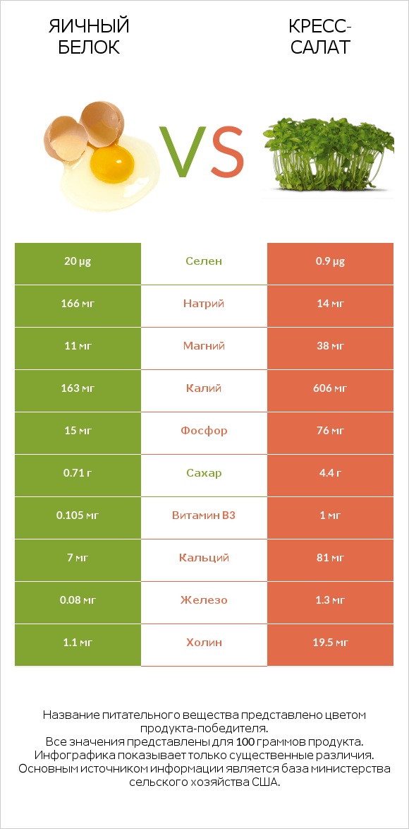 Яичный белок vs Кресс-салат infographic