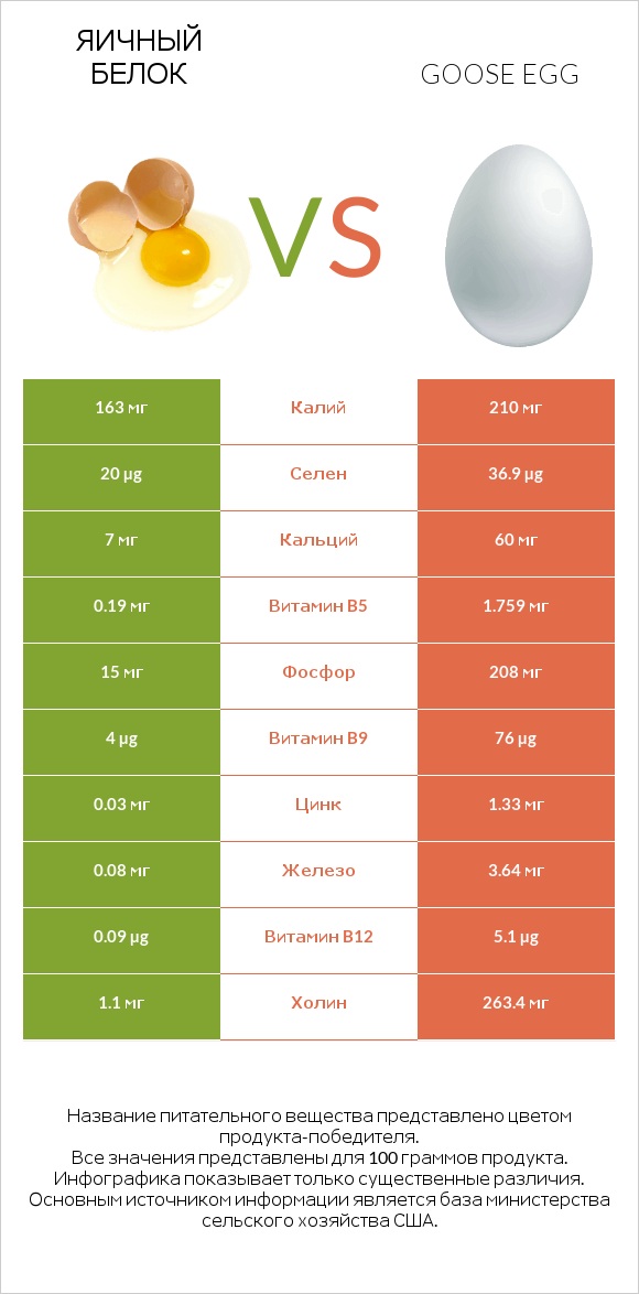 Яичный белок vs Goose egg infographic