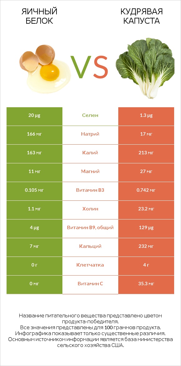 Яичный белок vs Кудрявая капуста infographic