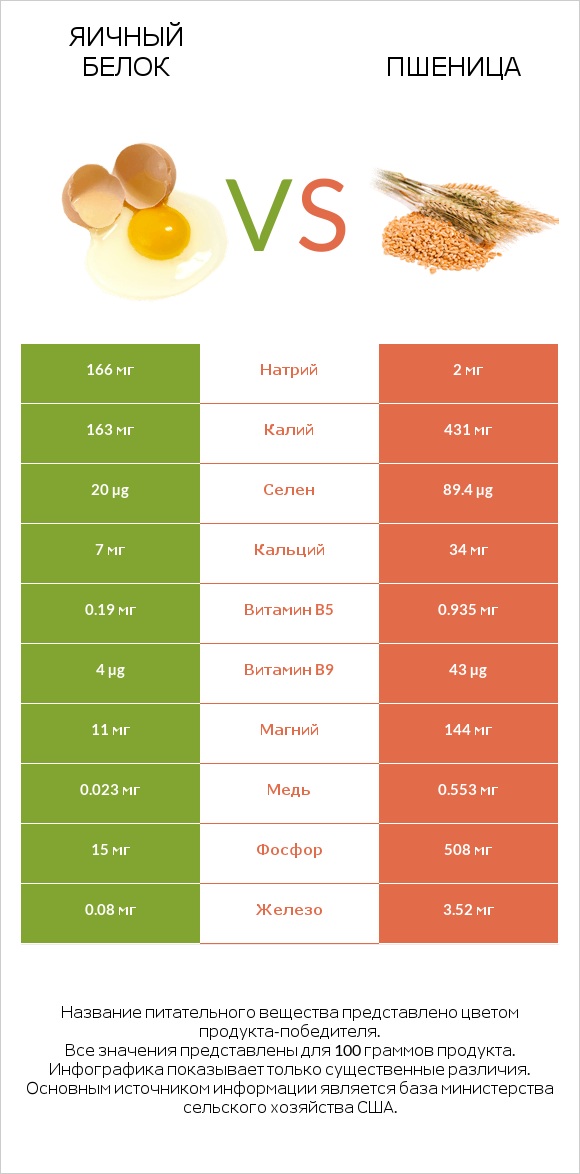 Яичный белок vs Пшеница infographic