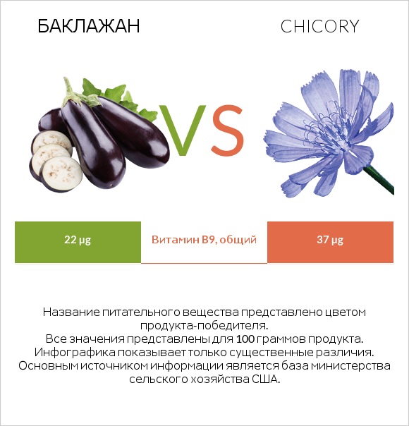 Баклажан vs Chicory infographic