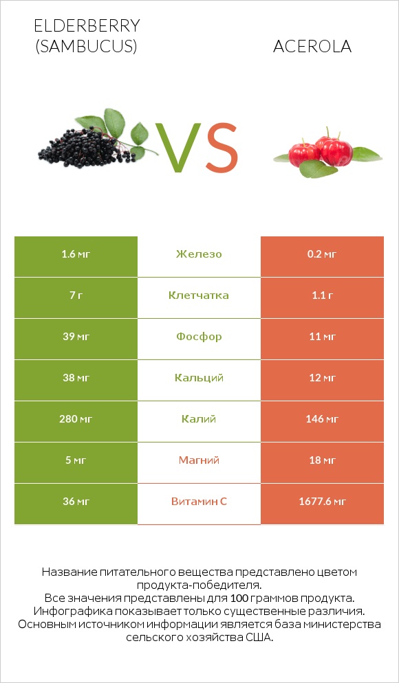 Elderberry vs Acerola infographic