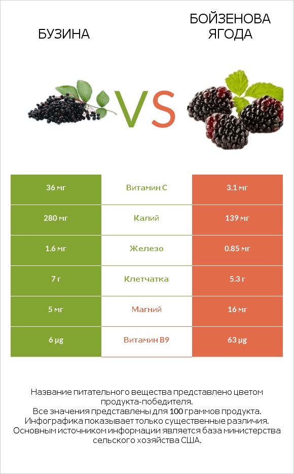 Бузина vs Бойзенова ягода infographic