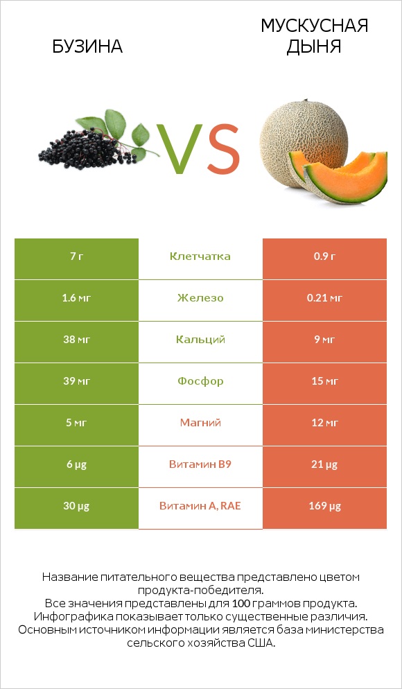 Бузина vs Мускусная дыня infographic