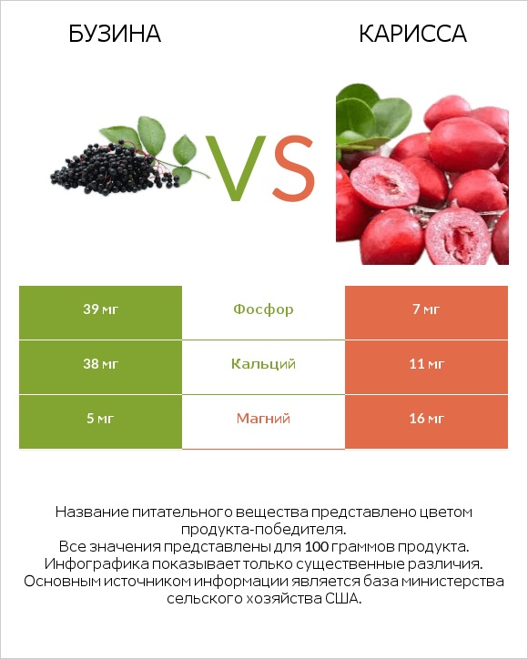 Бузина vs Карисса infographic