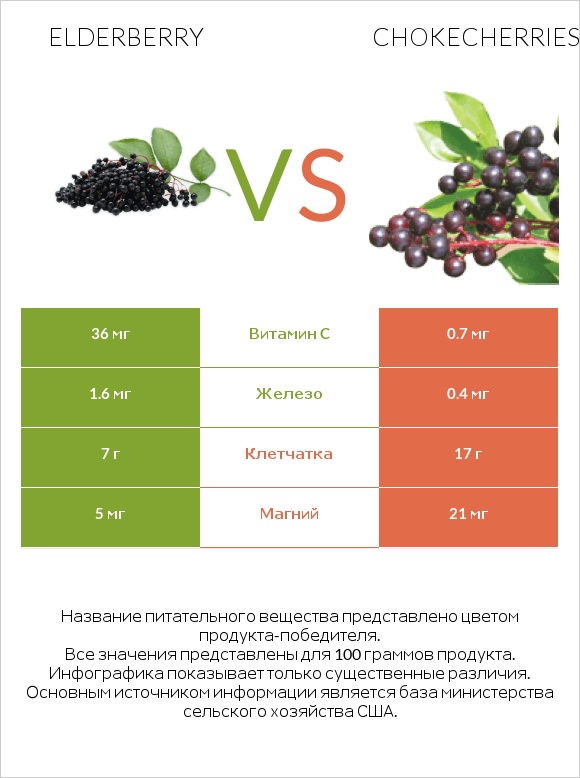 Elderberry vs Chokecherries infographic