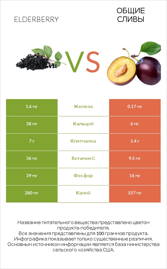 Elderberry vs Общие сливы infographic