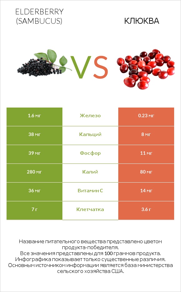 Elderberry vs Клюква infographic