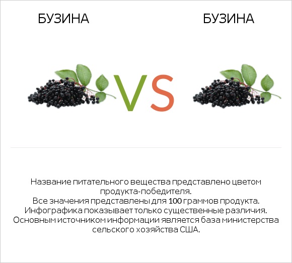 Бузина vs Бузина infographic