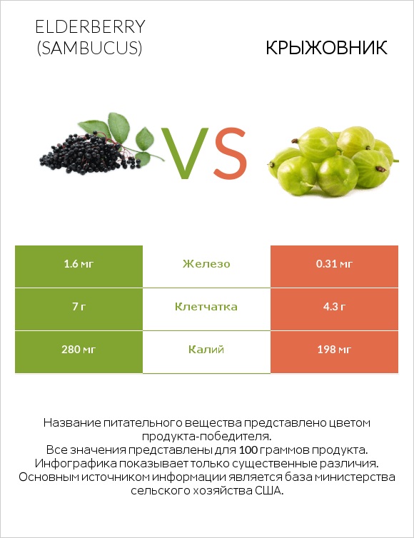 Elderberry vs Крыжовник infographic