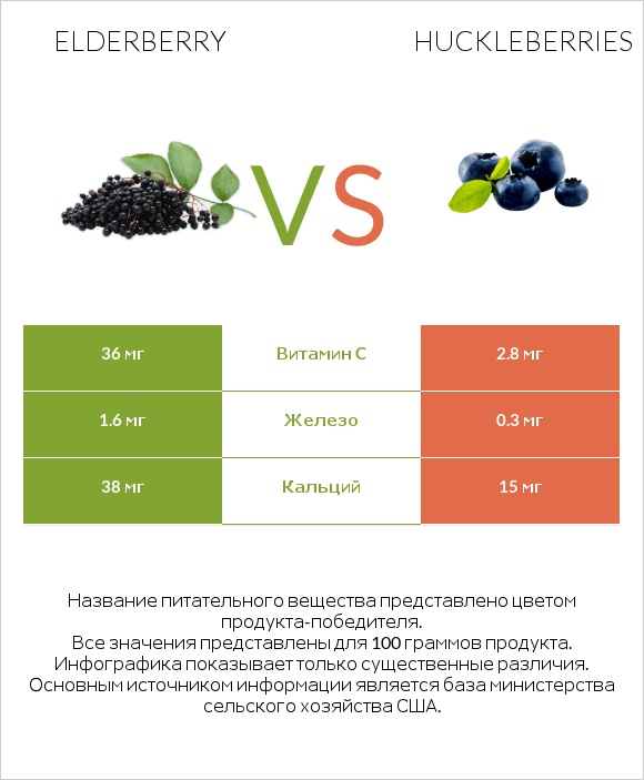 Elderberry vs Huckleberries infographic