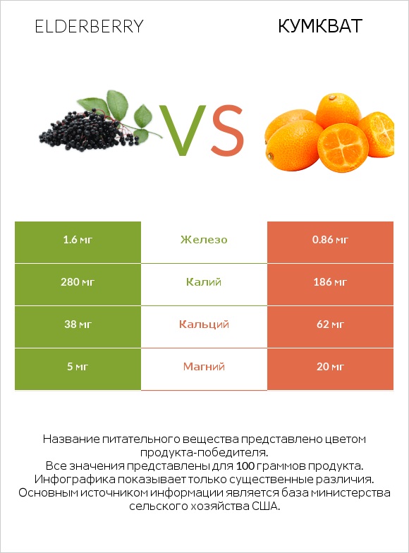 Elderberry vs Кумкват infographic