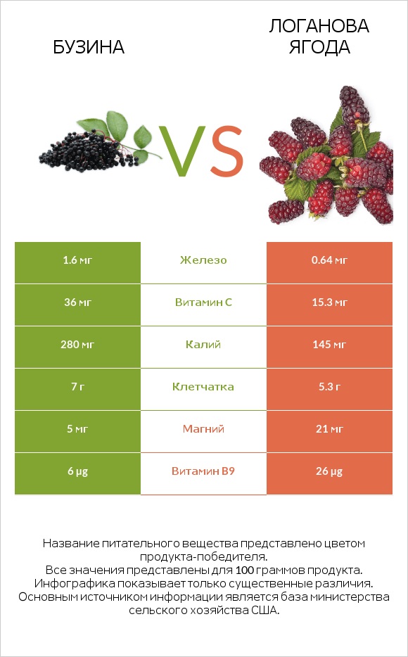 Бузина vs Логанова ягода infographic