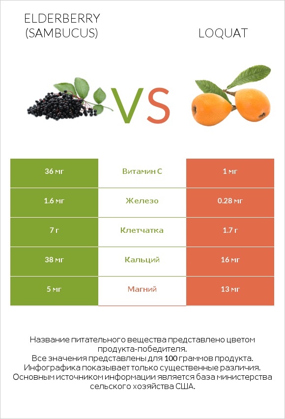 Elderberry vs Loquat infographic