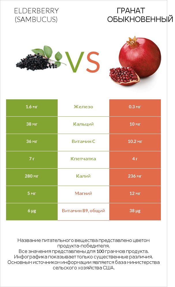 Elderberry vs Гранат обыкновенный infographic