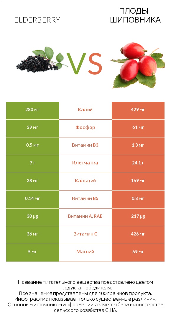 Elderberry vs Плоды шиповника infographic