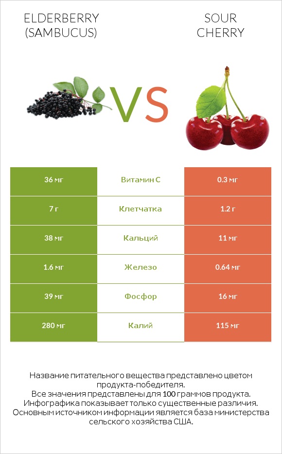 Elderberry vs Sour cherry infographic