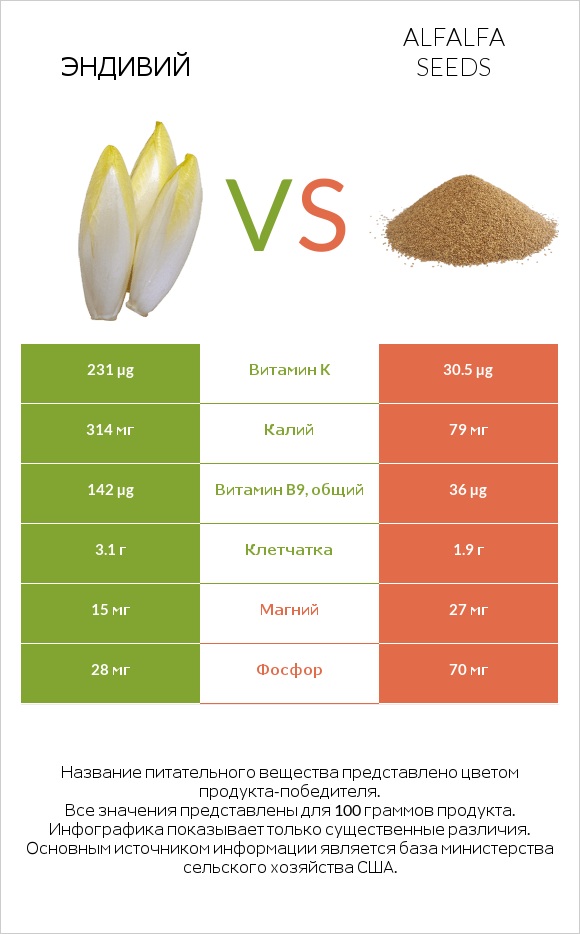 Эндивий vs Alfalfa seeds infographic