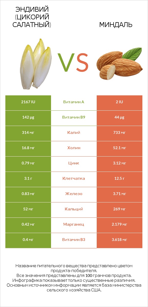 Эндивий (Цикорий салатный)  vs Миндаль infographic