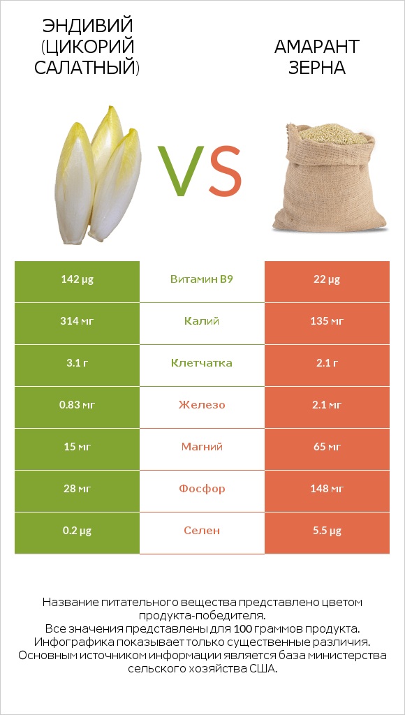 Эндивий (Цикорий салатный) vs Амарант зерна infographic