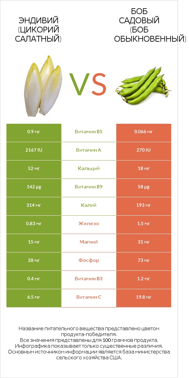 Эндивий vs Бобы садовые infographic