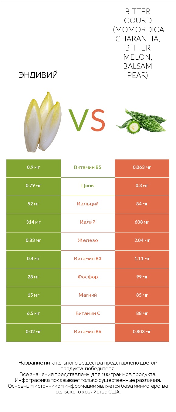Эндивий vs Bitter gourd (Momordica charantia, bitter melon, balsam pear) infographic
