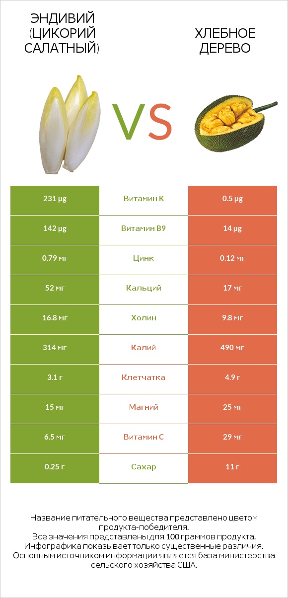 Эндивий (Цикорий салатный) vs Хлебное дерево infographic