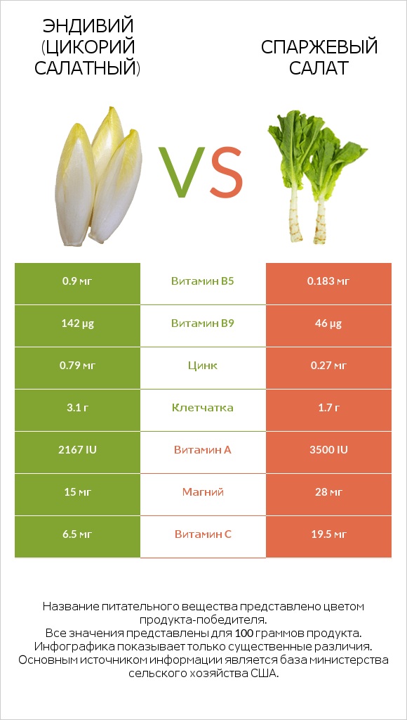 Эндивий (Цикорий салатный)  vs Спаржевый салат infographic