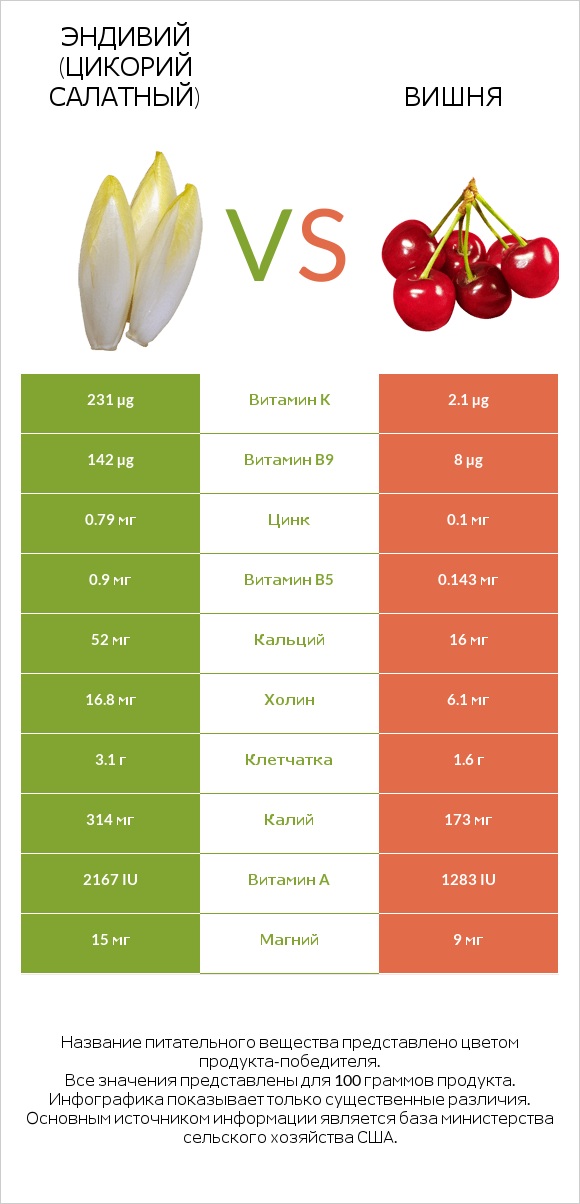 Эндивий (Цикорий салатный)  vs Вишня infographic