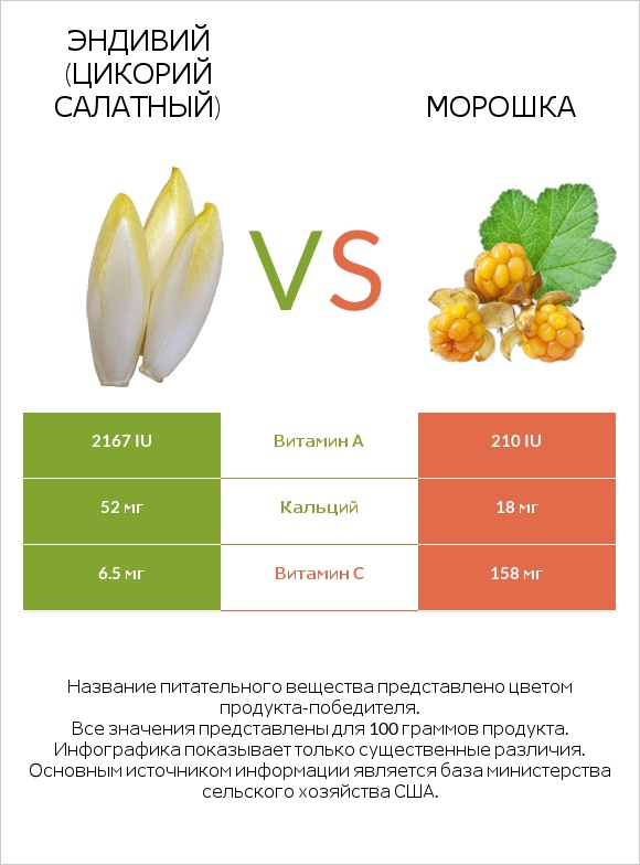 Эндивий (Цикорий салатный)  vs Морошка infographic