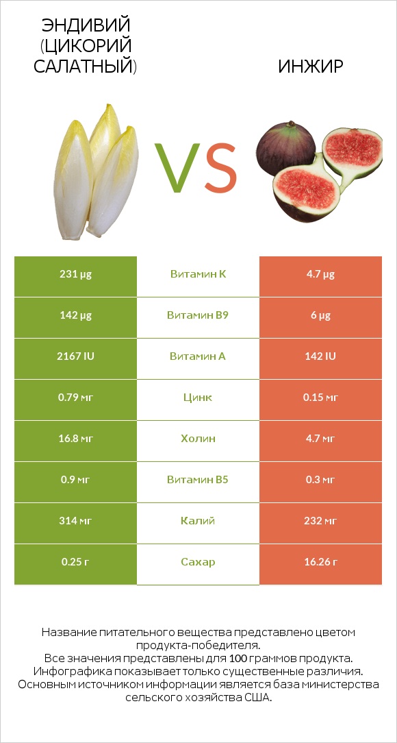 Эндивий (Цикорий салатный) vs Инжир infographic