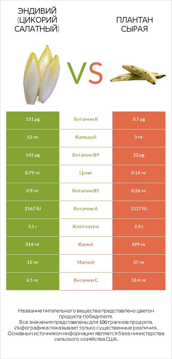 Эндивий (Цикорий салатный)  vs Плантан сырая infographic