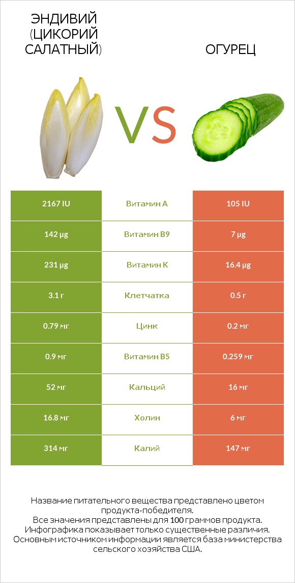 Эндивий vs Огурец infographic