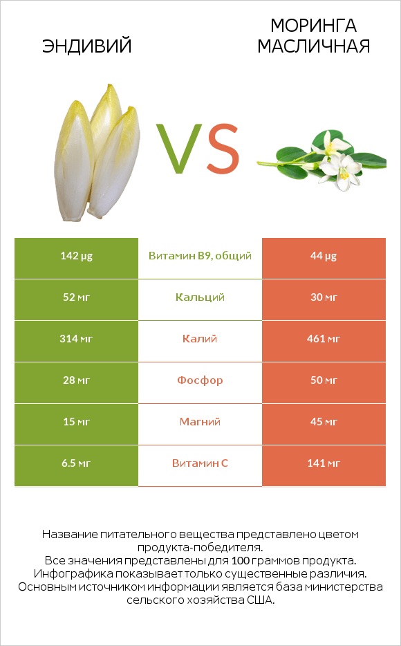 Эндивий vs Моринга масличная infographic