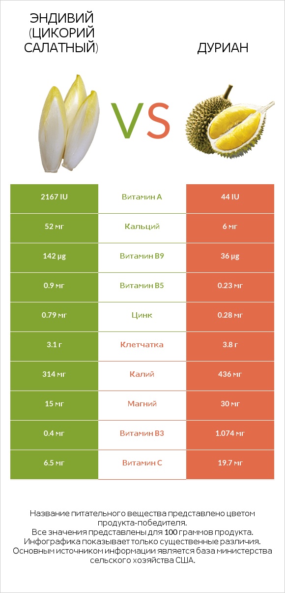 Эндивий (Цикорий салатный)  vs Дуриан infographic