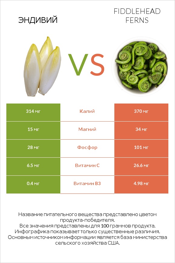 Эндивий vs Fiddlehead ferns infographic