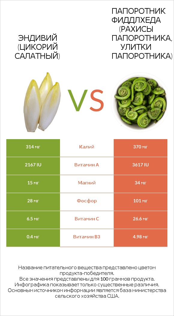 Эндивий vs Fiddlehead ferns infographic