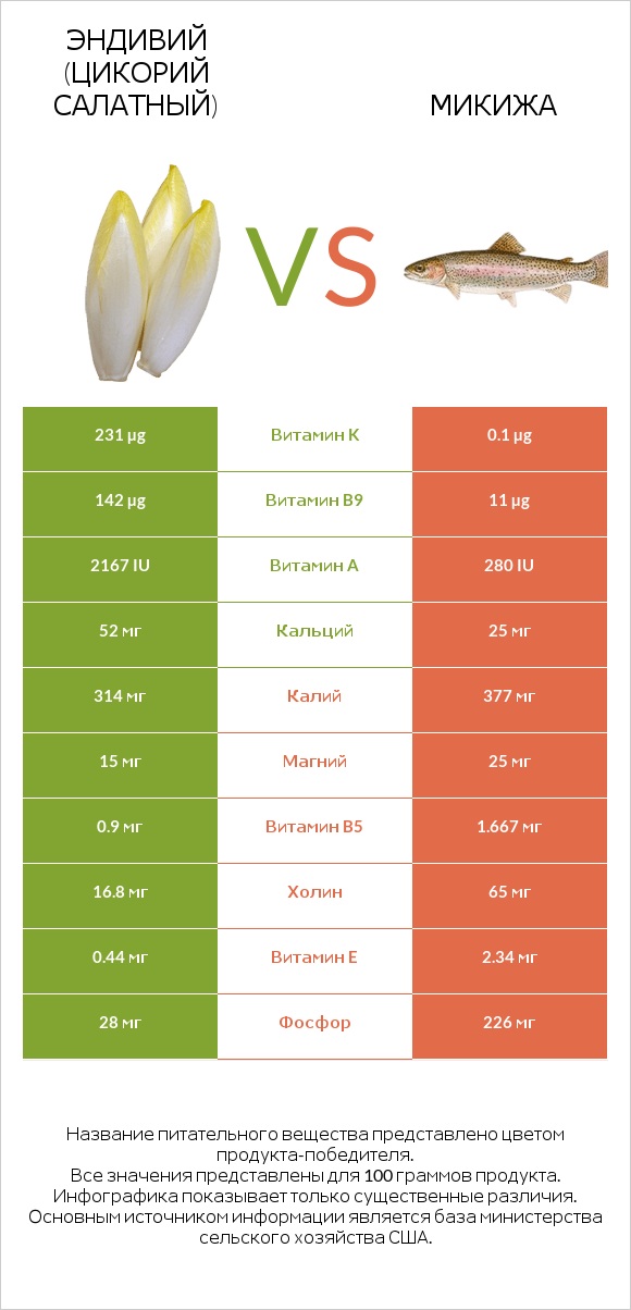 Эндивий (Цикорий салатный) vs Микижа infographic