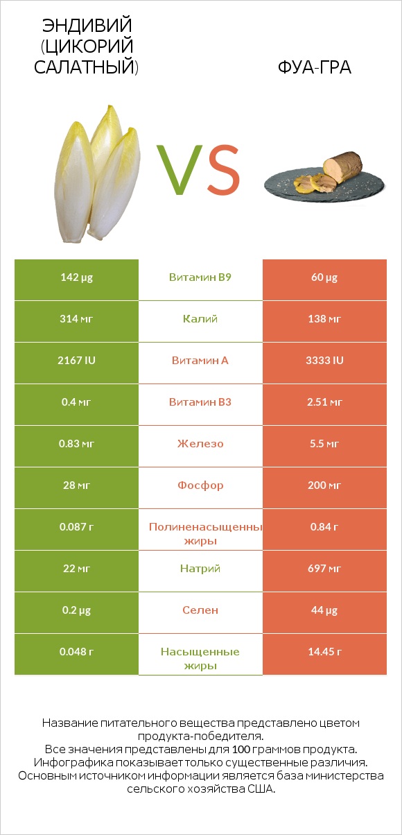 Эндивий (Цикорий салатный)  vs Фуа-гра infographic