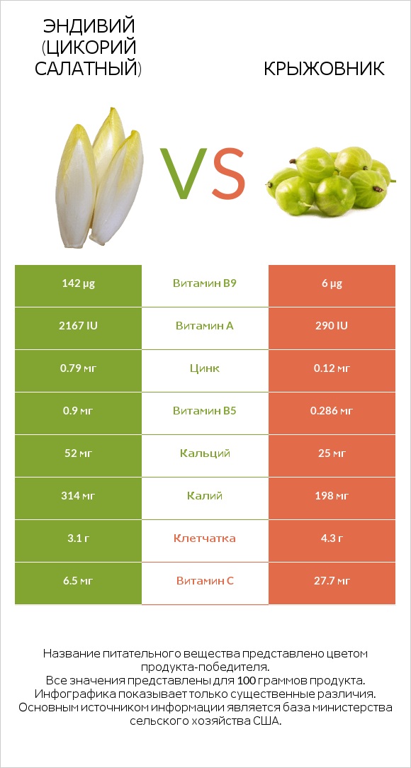 Эндивий (Цикорий салатный)  vs Крыжовник infographic