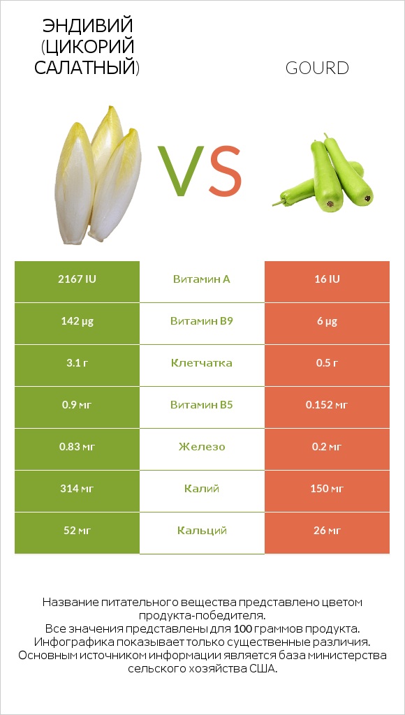 Эндивий (Цикорий салатный) vs Gourd infographic