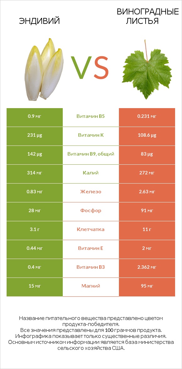Эндивий vs Виноградные листья infographic