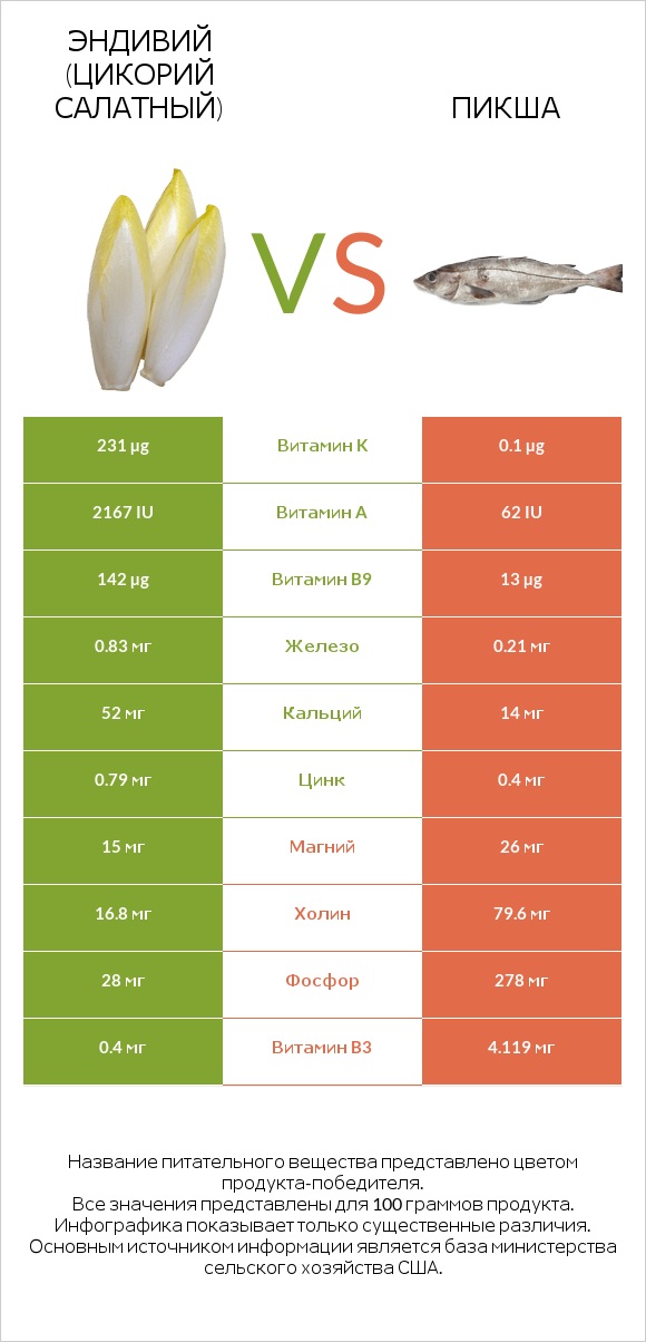 Эндивий (Цикорий салатный)  vs Пикша infographic