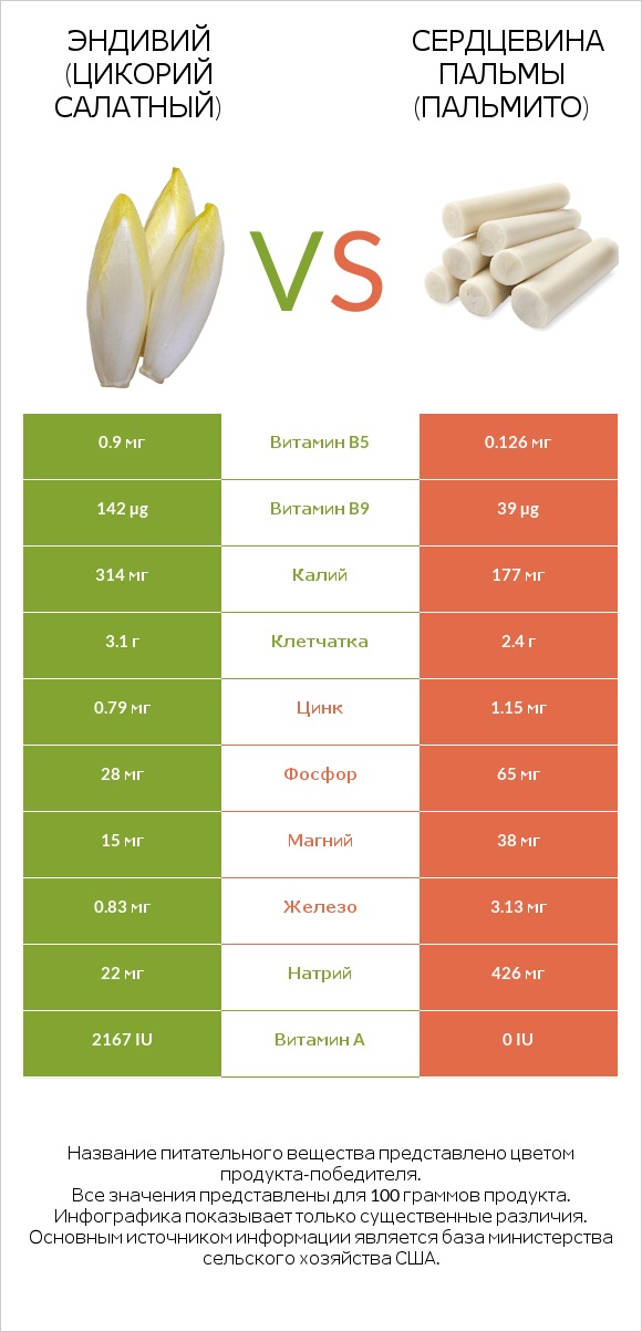 Эндивий (Цикорий салатный)  vs Сердцевина пальмы (пальмито) infographic