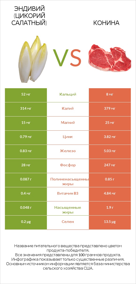 Эндивий (Цикорий салатный)  vs Конина infographic