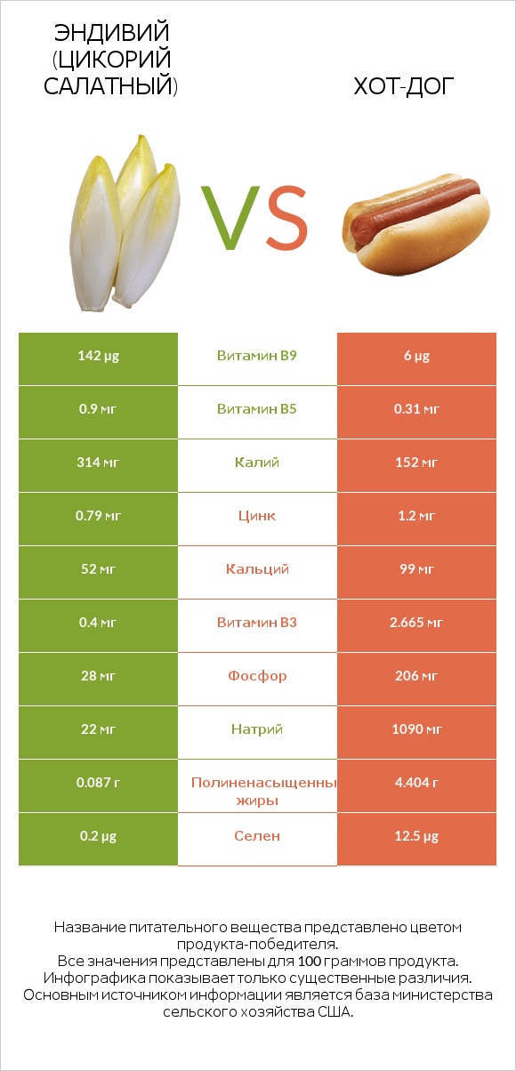 Эндивий (Цикорий салатный) vs Хот-дог infographic