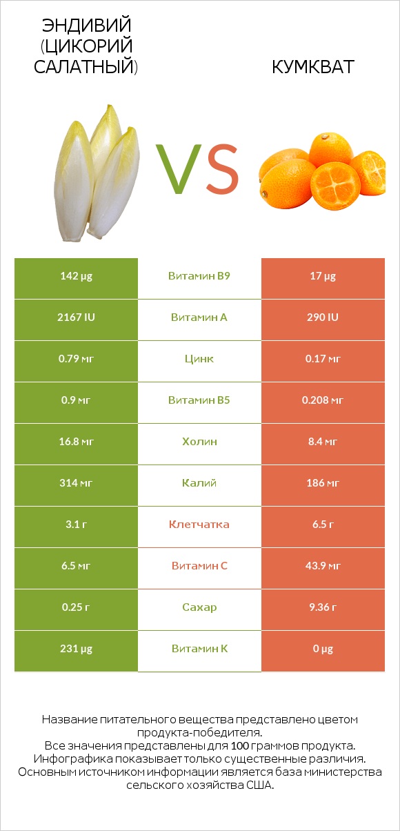 Эндивий (Цикорий салатный)  vs Кумкват infographic