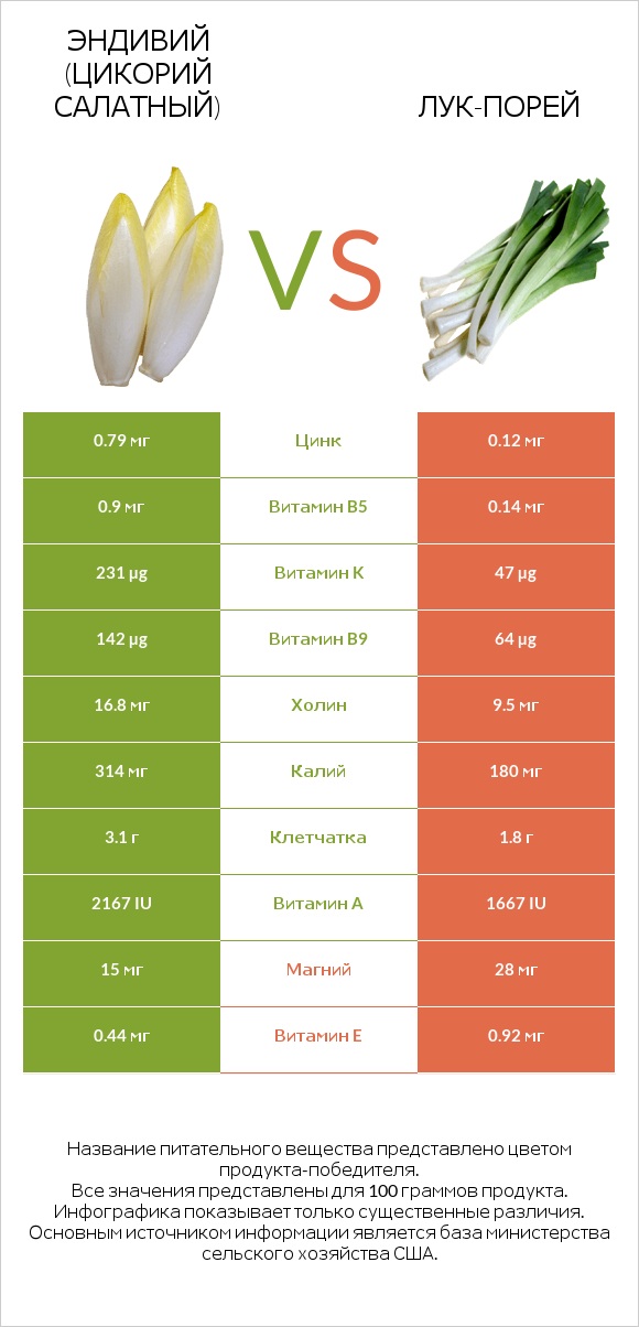 Эндивий (Цикорий салатный)  vs Лук-порей infographic